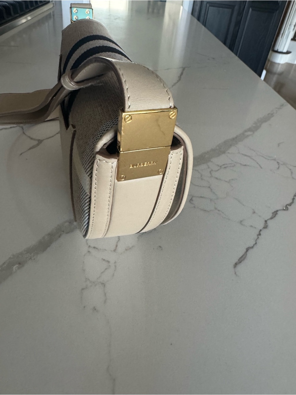Burberry Olympia Bag - Picture 3 of 13